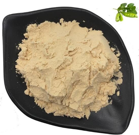 bulk pea protein powder