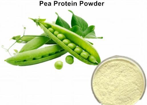 pure pea protein powder