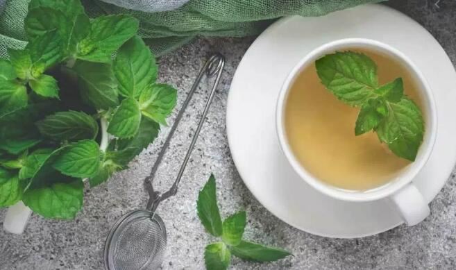 peppermint extract powder benefits