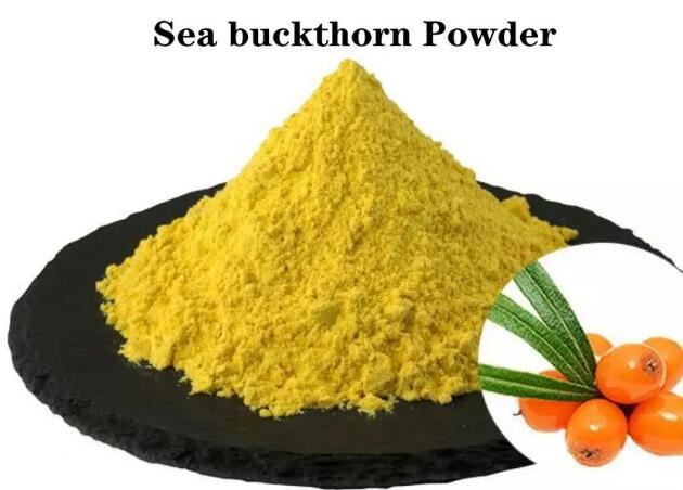 Sea Buckthorn Powder Uses