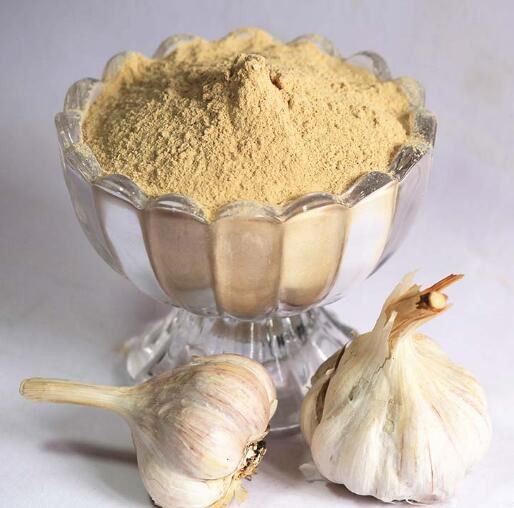 garlic extract powder