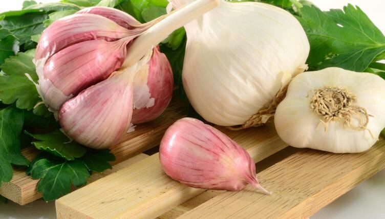Garlic Bulb benefits
