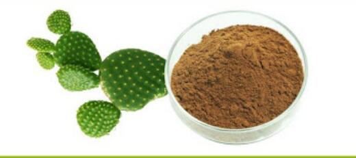 Cactus Extract Application