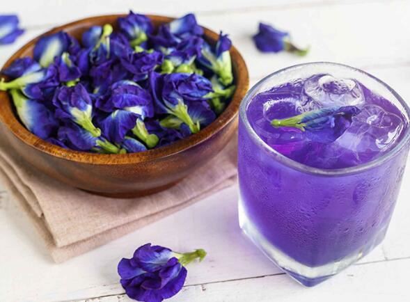 butterfly pea flower uses