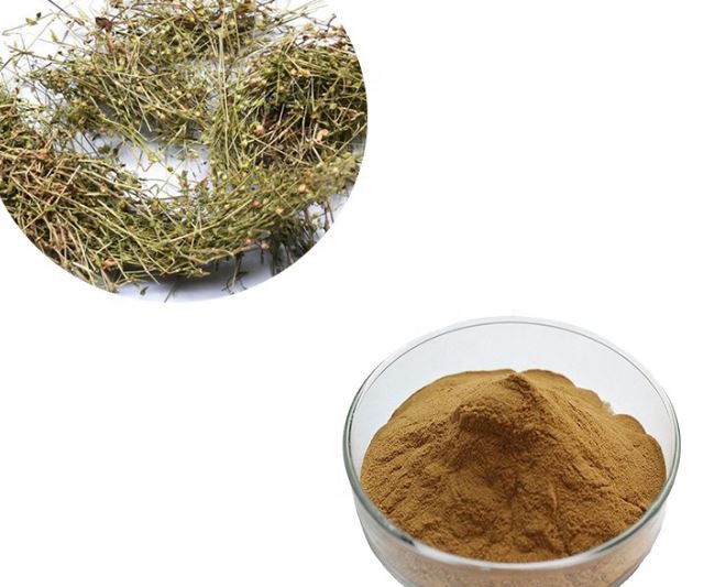 phyllanthus extract