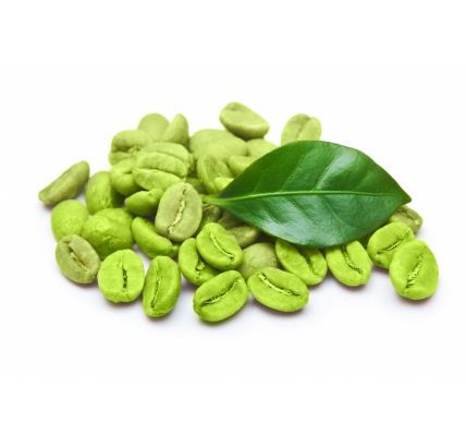 caffeine in green coffee bean extract
