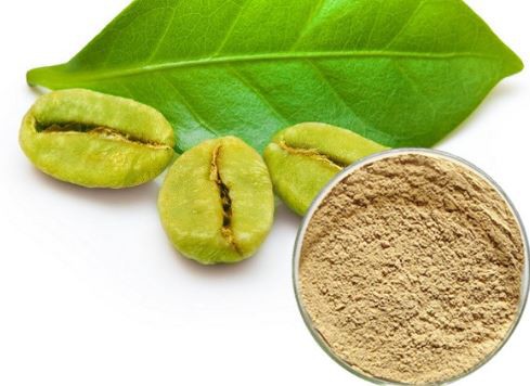 organic pure green coffee bean extract