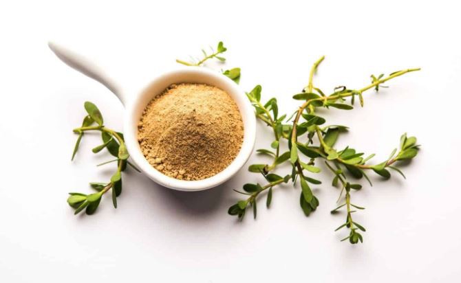 bacopa herb extract