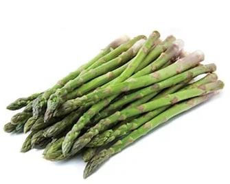 asparagus root application