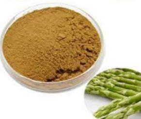 asparagus root powder