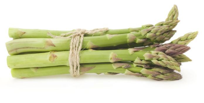 asparagus root extract benefits