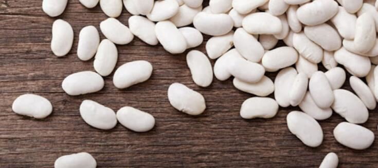 white kidney bean extract benefits