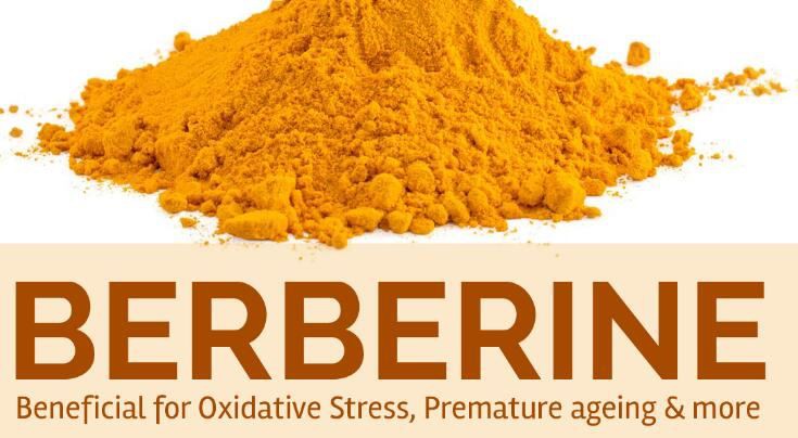 Berberine health benefits