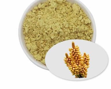 pine pollen powder bulk