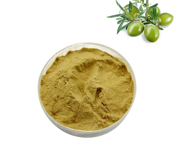 olive leaf extract powder bulk
