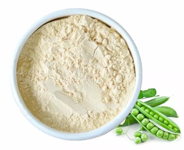 organic pea protein powder bulk