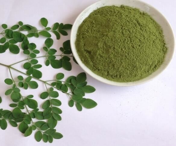 moringa oleifera aqueous leaf extract.jpg