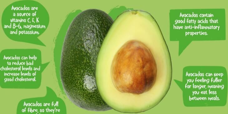 avocado benefits.jpg