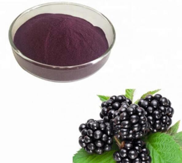 organic blackberry powder.jpg