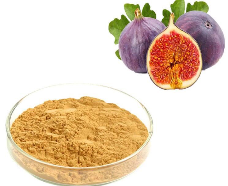 dried fig powder.jpg