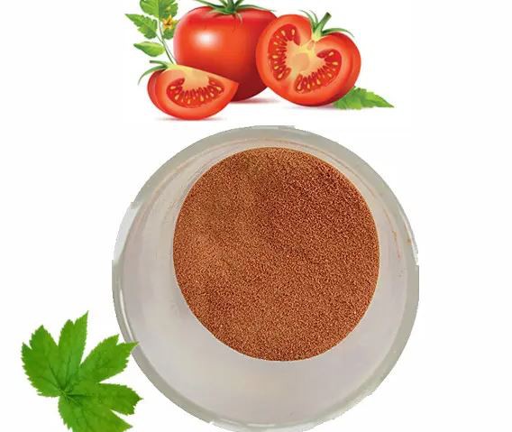organic tomato powder bulk.png