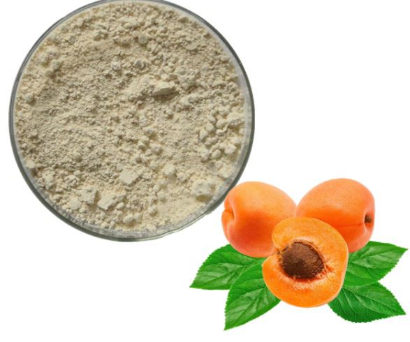 dried apricot powder-1.png