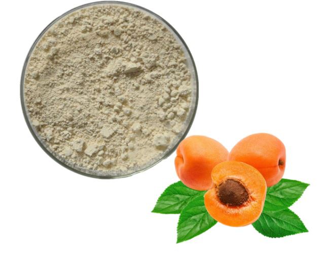 apricot fruit extract.png