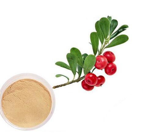 bearberry leaf extract.jpg