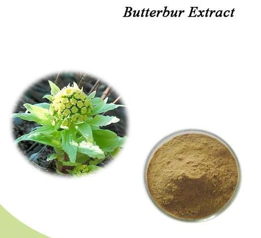 butterbur extract benefits.jpg