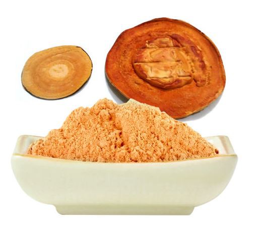 antrodia extract powder.png