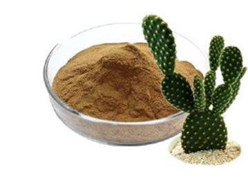 prickly pear extract bulk.png