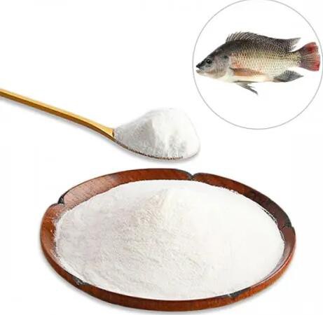 collagen peptides from fish.jpg