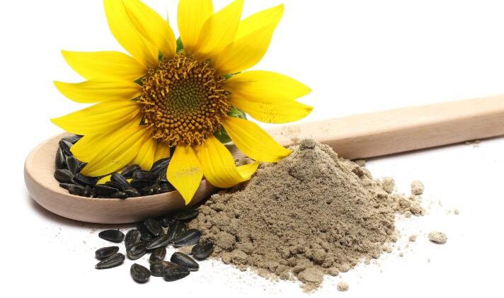 buy sunflower lecithin powder