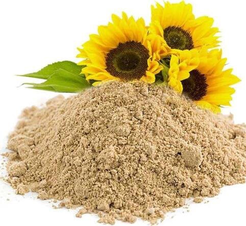 organic sunflower seed powder