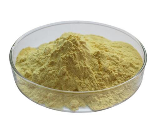 african mango seed extract powder