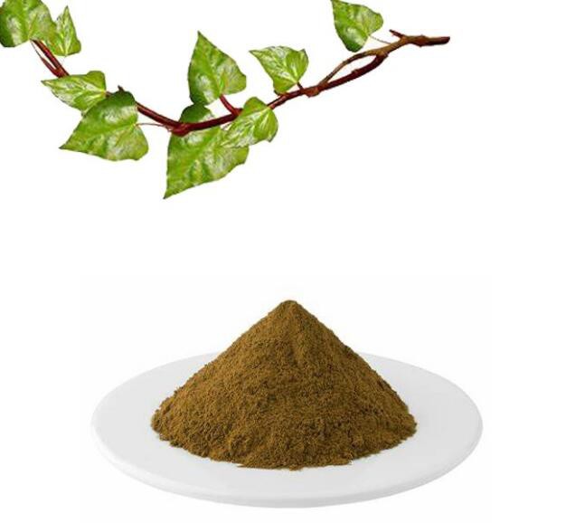 english ivy leaf extract