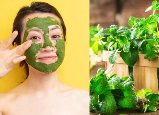 MINT BENEFITS FOR SKIN-1