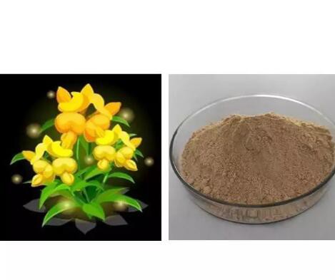 lotus corniculatus extract