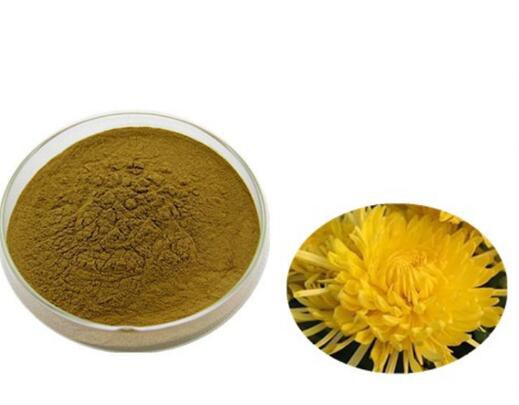chrysanthemum morifolium flower extract