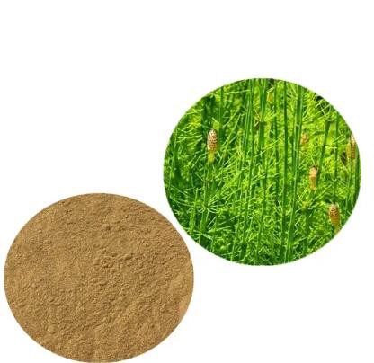 horsetail stem extract