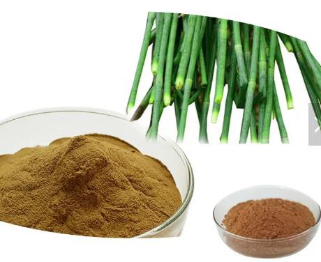 silica horsetail extract