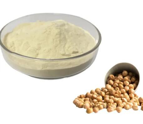 organic chickpea protein