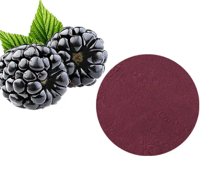 blackberry anthocyanins
