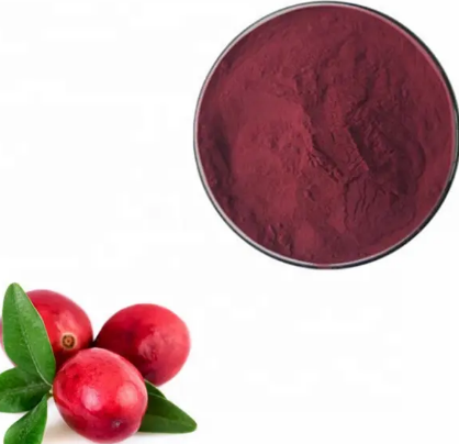 cranberry proanthocyanidins