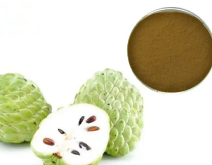 soursop extract for sale
