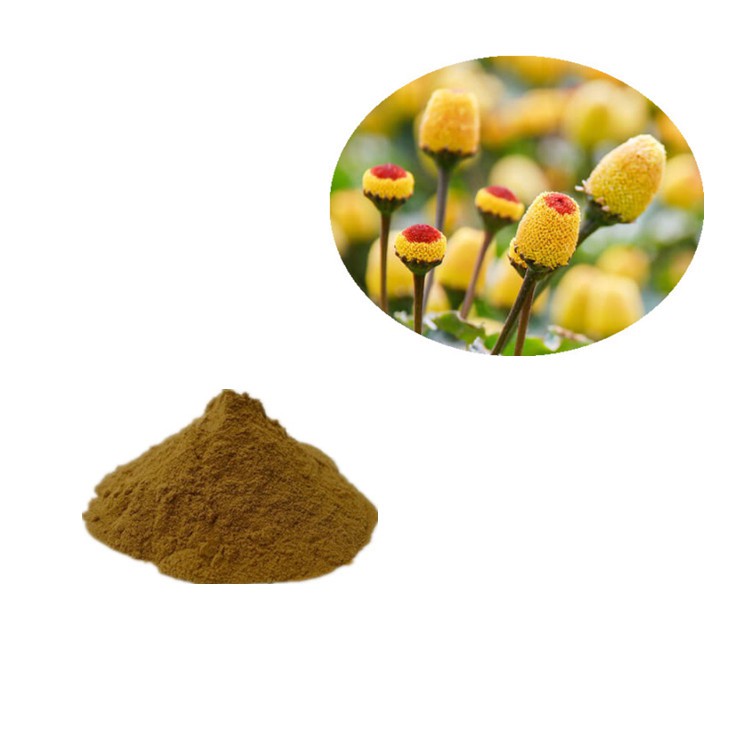 Spilanthes Acmella Flower Extract Powder