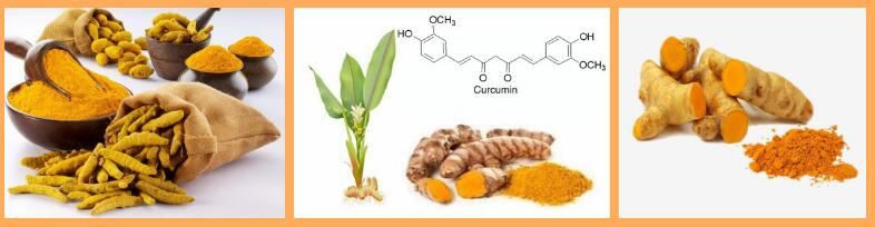 curcumin 95 powder