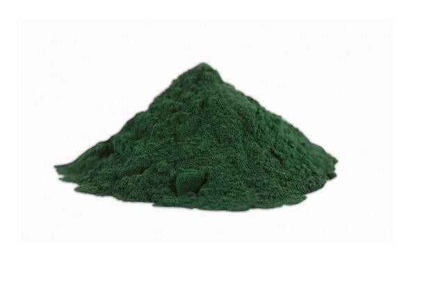 Chlorella Powder