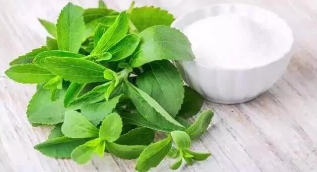 Stevia Extract-1