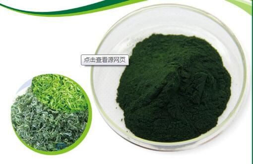 Spirulina Powder-1